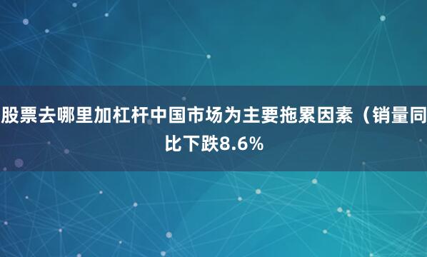股票去哪里加杠杆中国市场为主要拖累因素（销量同比下跌8.6%